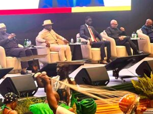 ECOWAS Summit:When Prestige Trumps the People